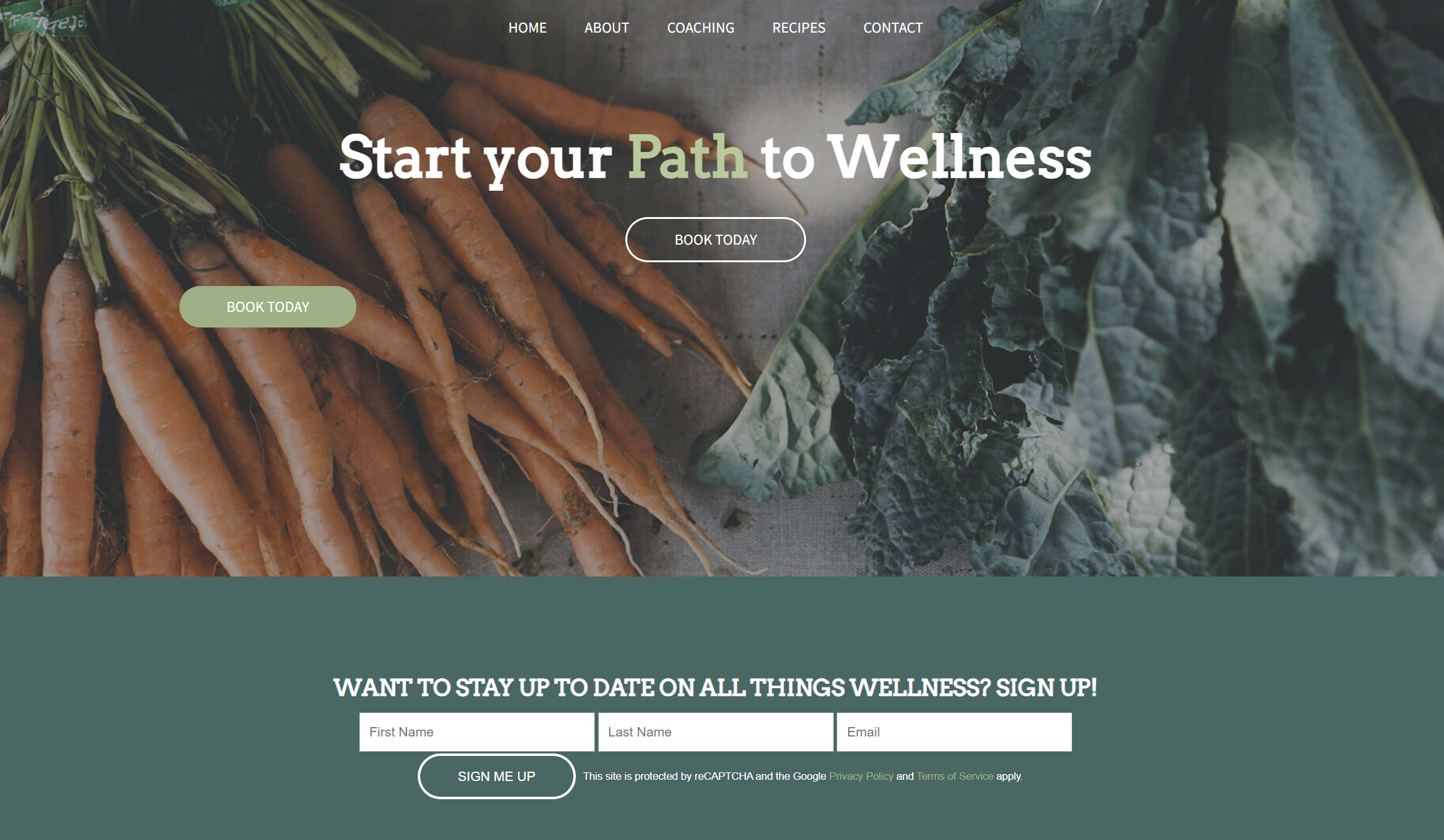 Website Hosting Consultation